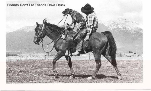 Drive Drunk