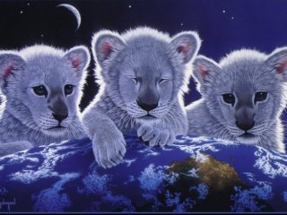 Snow Cubs